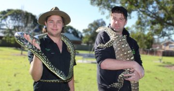 Mobile reptile zoo proves to be genius venture for passionate keepers