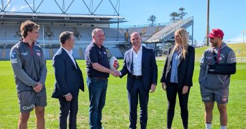 Dragons join Illawarra mission for men's mental health and community connection