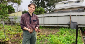 Here's how you can take a stickybeak at some of the Illawarra's tastiest gardens