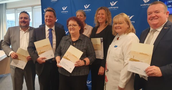 Wollongong steps it up in battle to claim NSW's third cruise port terminal