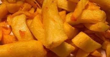 The great Illawarra chip-off: your ultimate guide to hot, salty glory