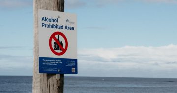 New alcohol-free zones proposed across Shellharbour as review goes public