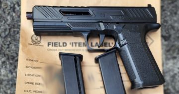Bulli teen busted with gun, ammo