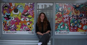 Graffiti-style artworks transform bus shelters in Shellharbour