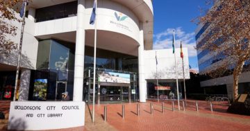 Dog seized, destroyed after attack in Bulli