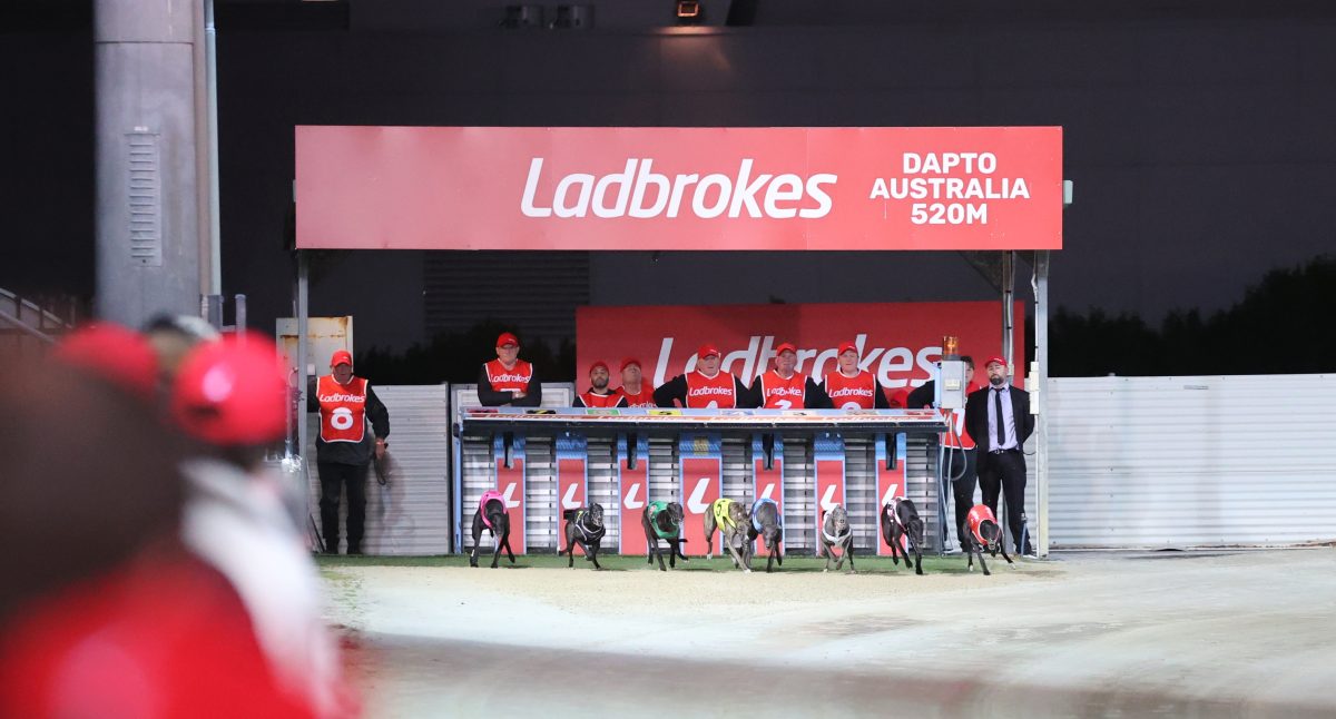 Dapto Greyhounds