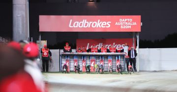 End of an era as Dapto Dogs set to run last lap at ‘mega’ farewell this September