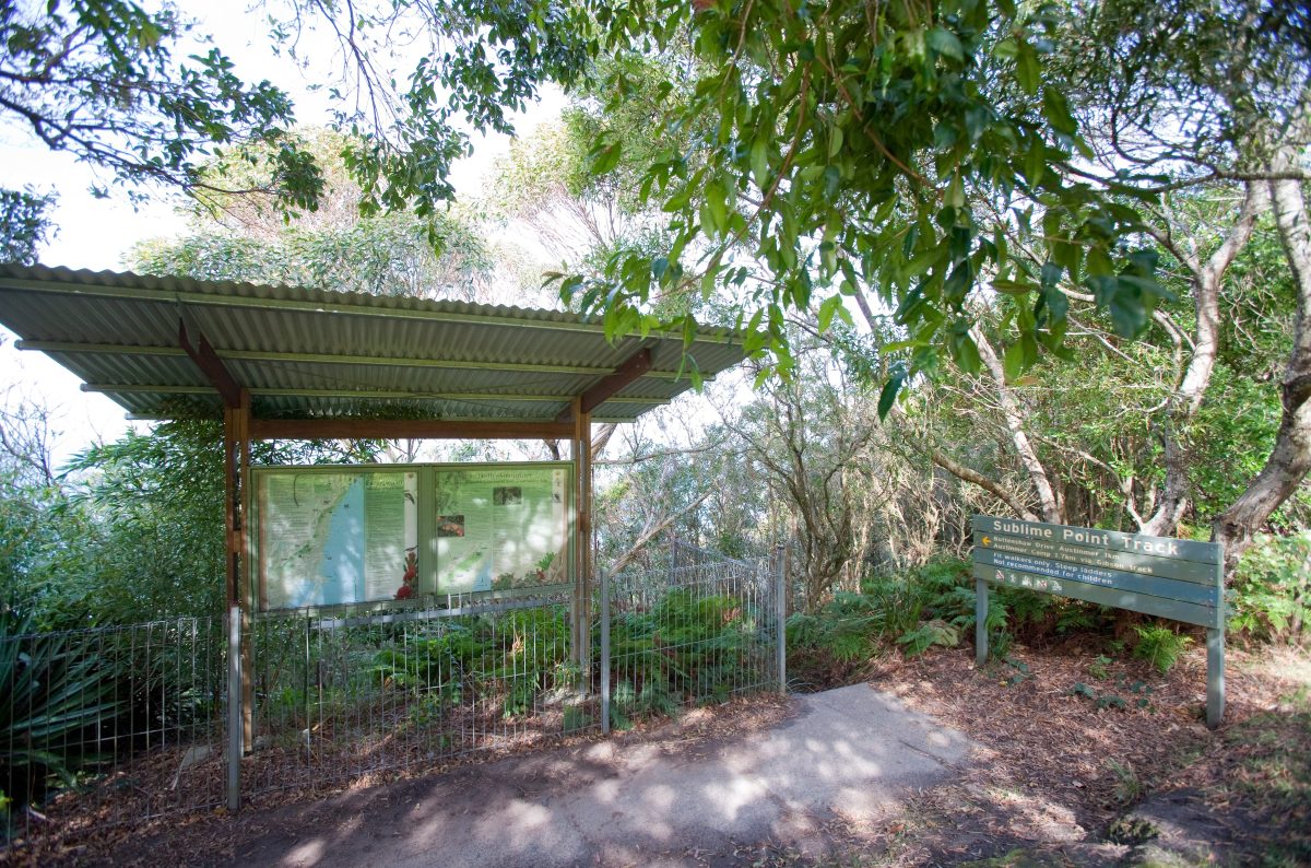 Sublime Point Walking Track