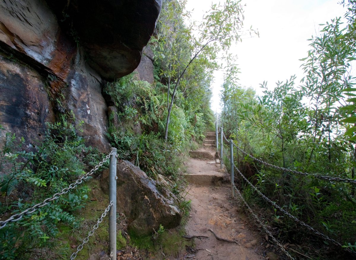 More than 1000 stone steps will be installed along the track.