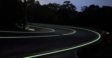 Glowing review for Bulli Pass road safety trial