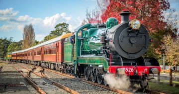 Historic locomotive steams into the Shoalhaven for a trip back in time