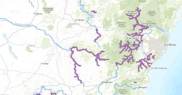 Research trip fails to find a trace of elusive Kangaroo River perch species