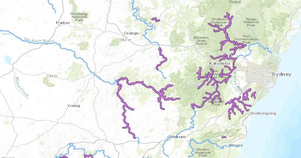 Research trip fails to find a trace of elusive Kangaroo River perch species