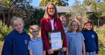 Tarrawanna kindy teacher wins state award for supporting students through major transition