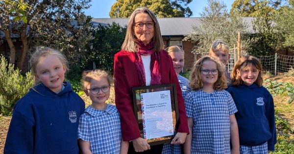 Tarrawanna kindy teacher wins state award for supporting students through major transition