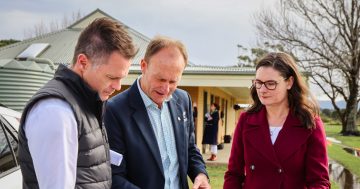 $20m funding boost locks in full delivery of Albion Park’s Tripoli Way Extension
