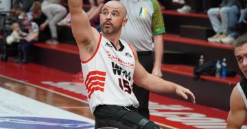 Roller Hawks eye gold as they take flight in NWBL semi-final