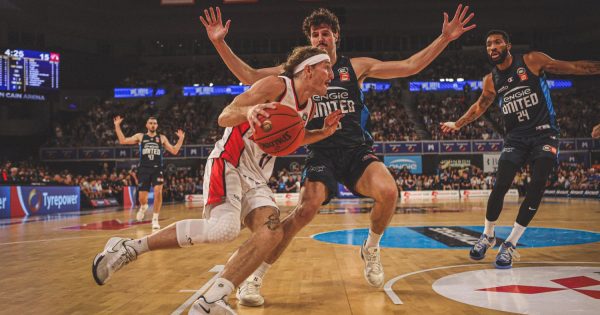 Dan Grida's back to where he loves most - at the heart of the Illawarra Hawks
