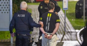 Teen busted with 3D-printed firearms, police say