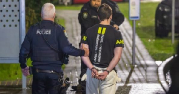 Teen busted with 3D-printed firearms, police say