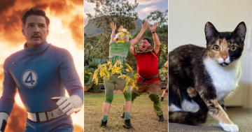 QUIZ: What are these costumed capers? Plus 9 other questions