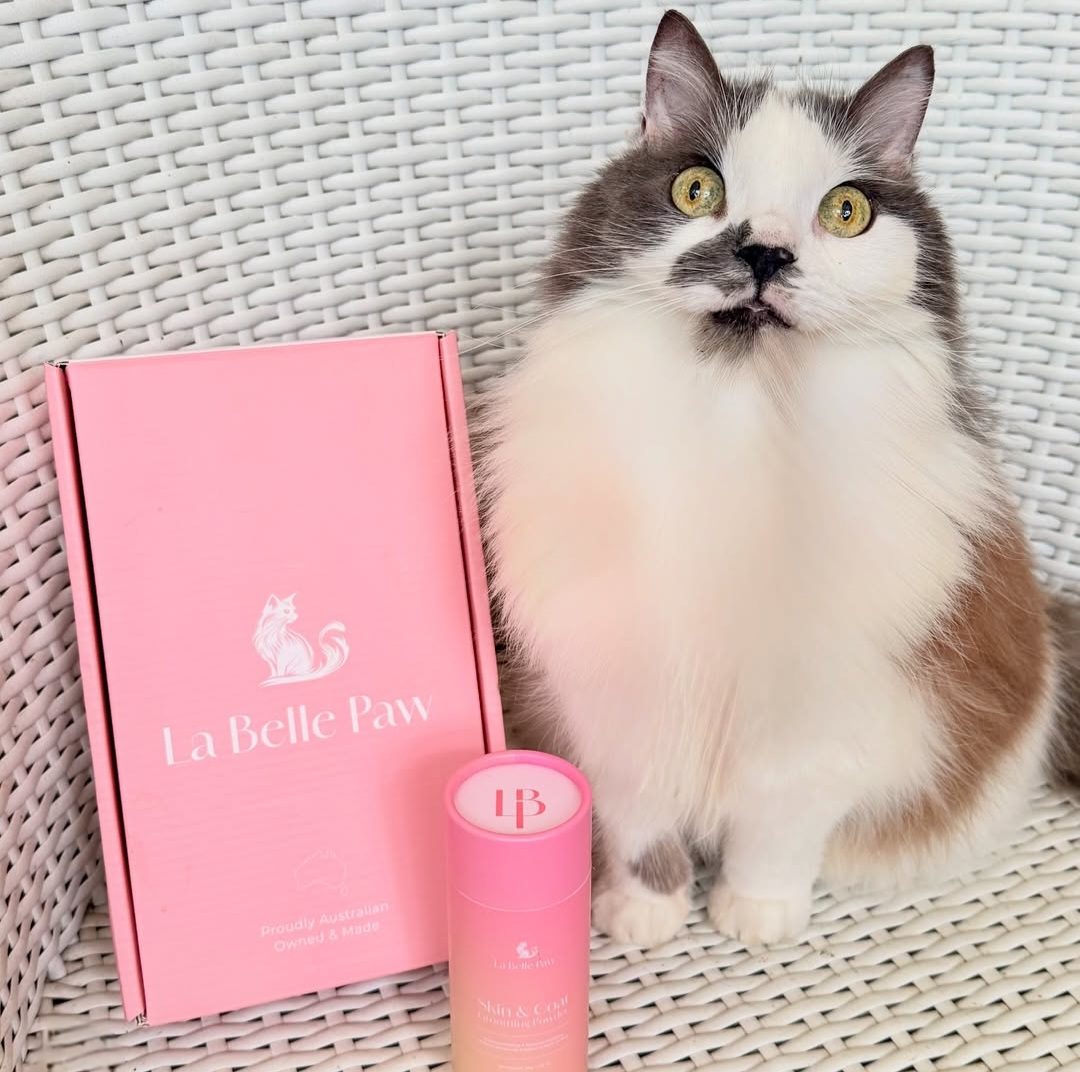 Cat with La Belle Paw grooming powder