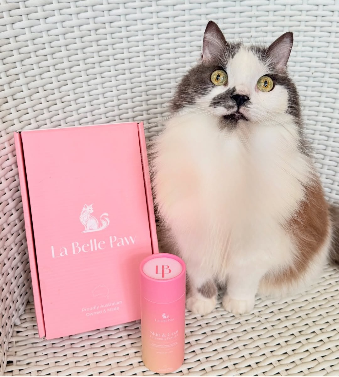 Cat with La Belle Paw grooming powder