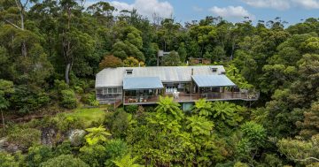 Ultimate off-the-grid serenity in Jamberoo