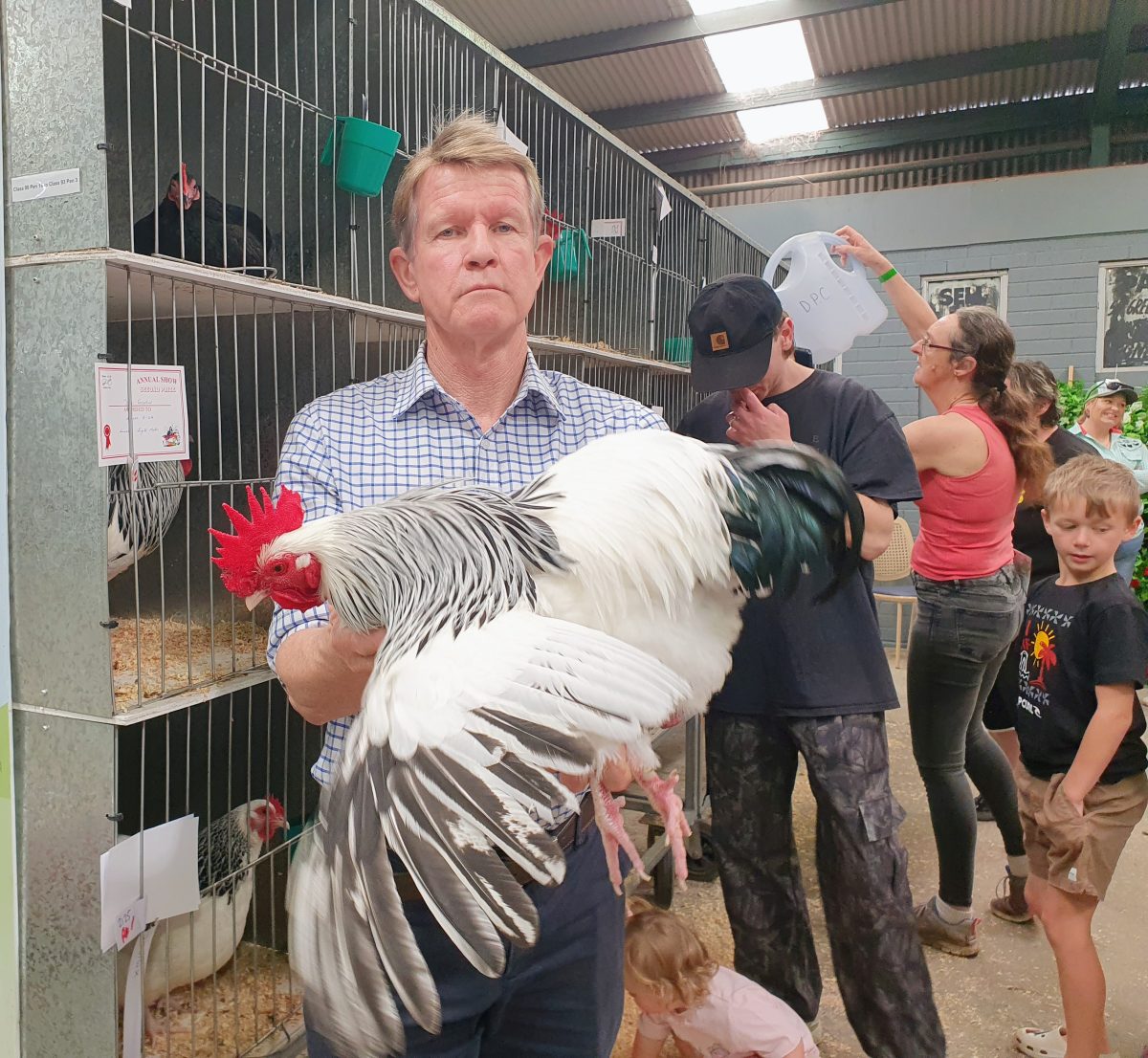 John Graveur with one of his champion Light Sussex Bantams at the Dapto Show. 