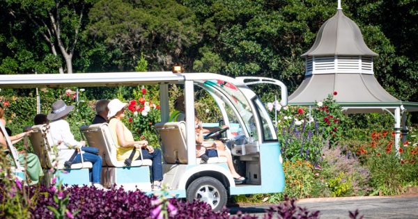 Garden Discovery Buggy Tour