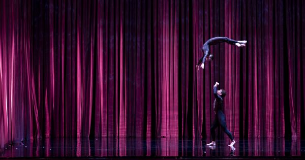 Swan Lake meets The Ugly Duckling, tutus and trapeze collide at IPAC