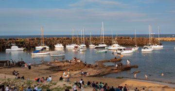 Belmore Basin to host first-ever Malta Regatta