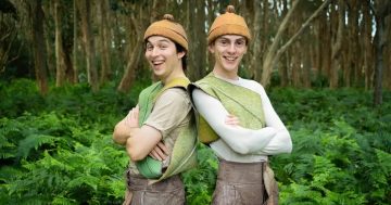 The Adventures of Snugglepot and Cuddlepie