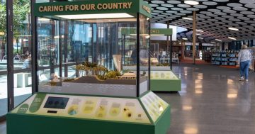 New Shellharbour exhibition turns up the heat on climate change with cool solutions