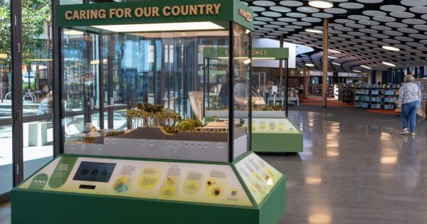 New Shellharbour exhibition turns up the heat on climate change with cool solutions