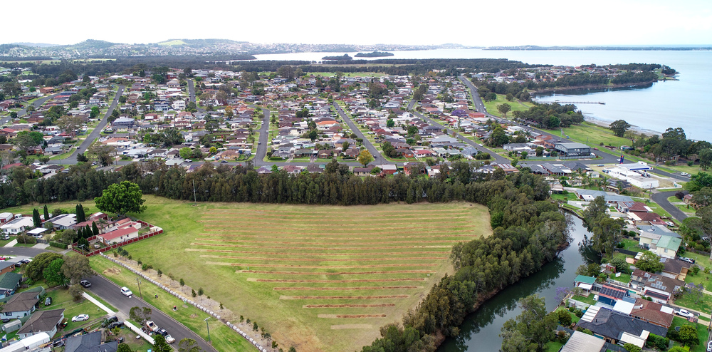 Is your street looking a little bare? Ask Wollongong City Council about adopting a tree.