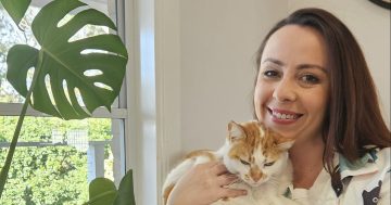 Kanahooka cat owner's mission to help owners keep pets clean and comfortable