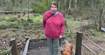 Arrival of Summer gave Laurinda the boost to branch out into business