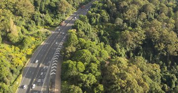 Motorists' feedback needed to develop options to upgrade Mt Ousley section of motorway