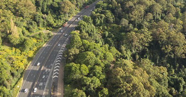 Motorists' feedback needed to develop options to upgrade Mt Ousley section of motorway