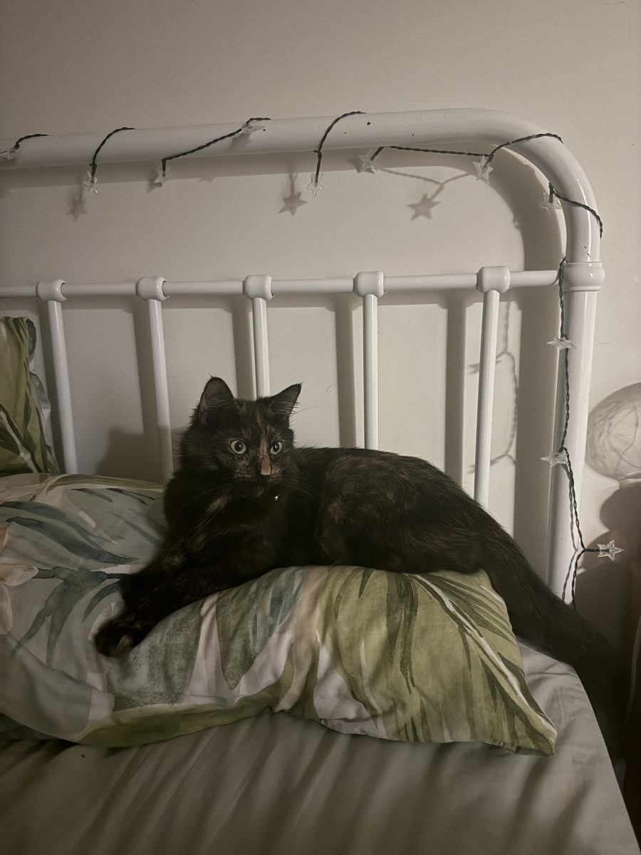 Norma likes to play hard to get - but that's because underneath she's a huge softie.
