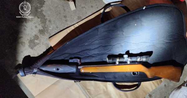 Alleged chainsaw threat in Fairy Meadow leads to slew of charges