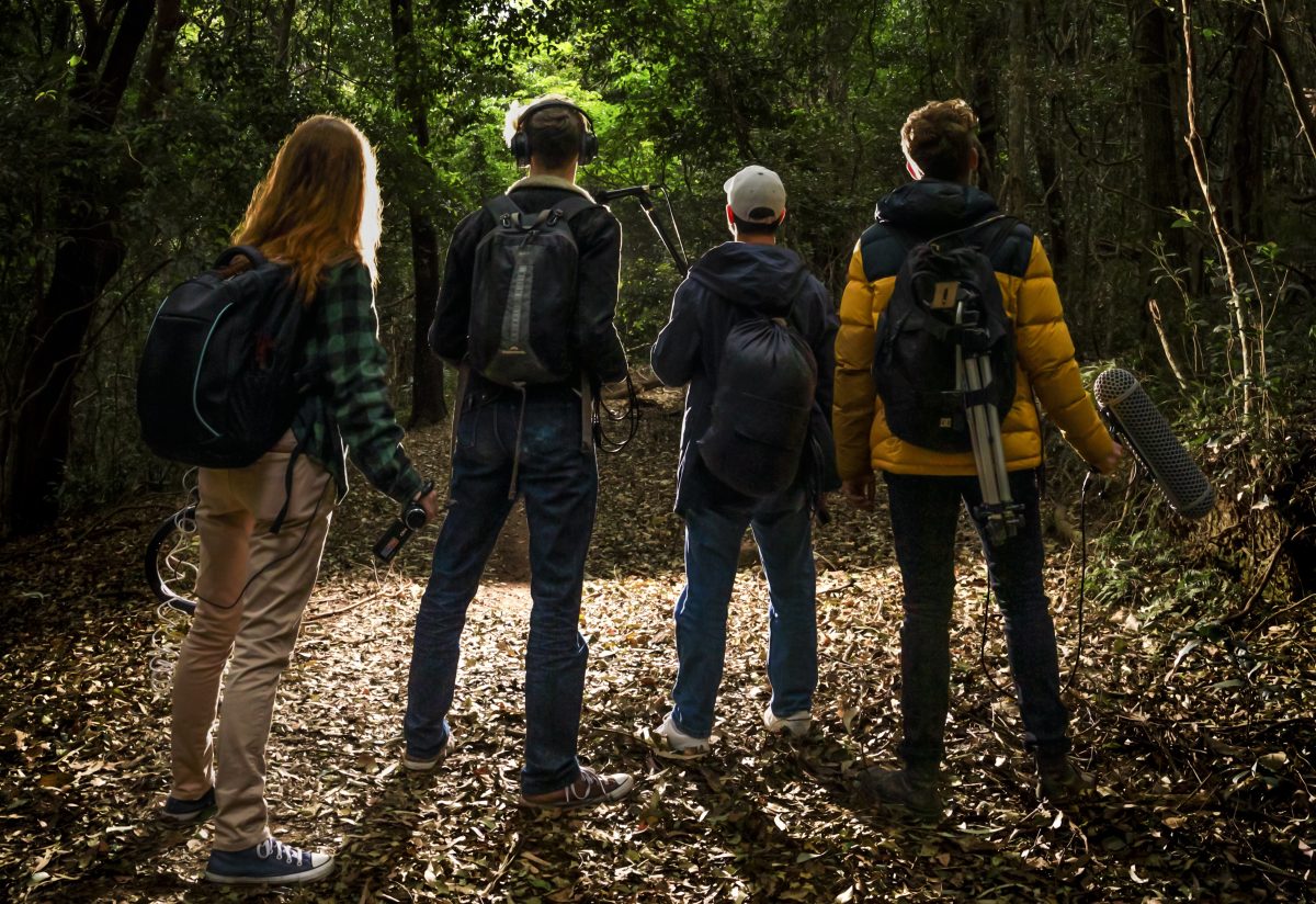 Four people in the forest