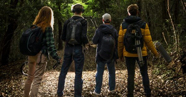 Yowie spotted in the Illawarra! Check it out ... live on stage