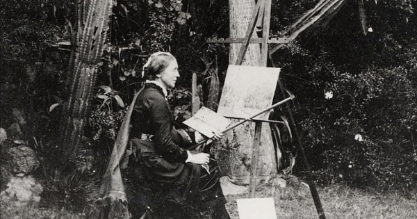 Botanical artist loved the Illawarra's 'Doondale' but mystery surrounded its location - until now