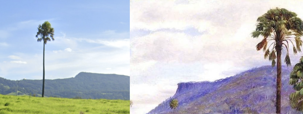 Two views