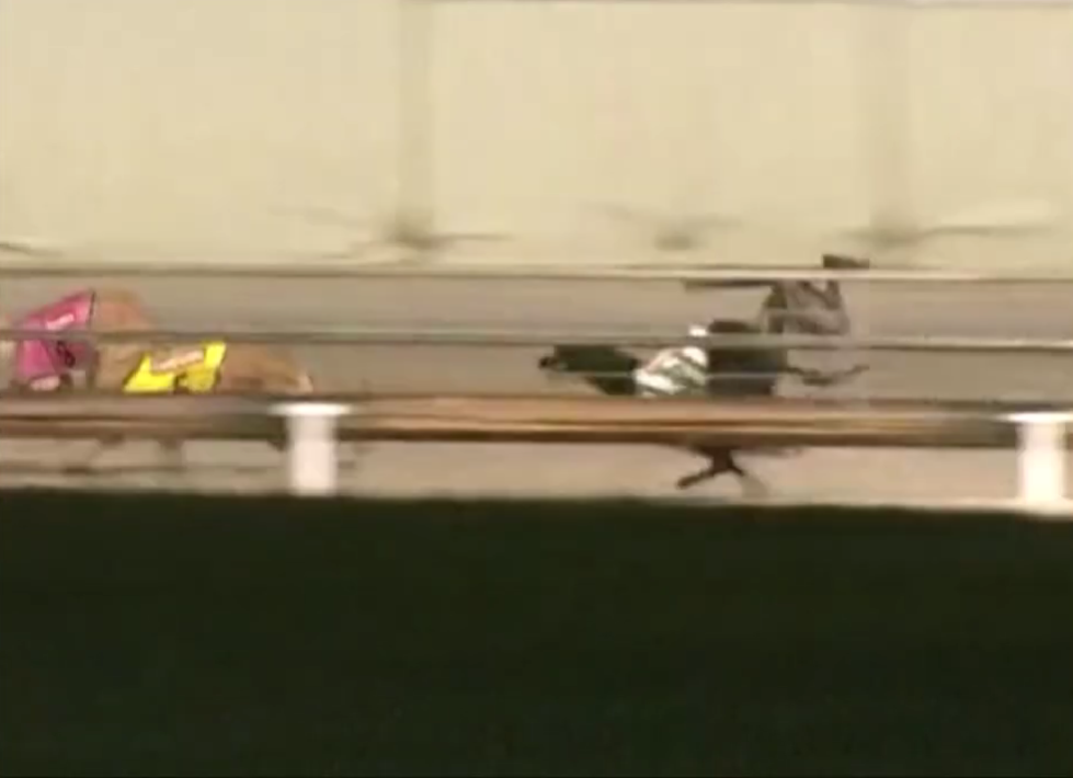 The moment McCallister fractured both front legs at the Bulli showground racetrack on Tuesday (9 September). 