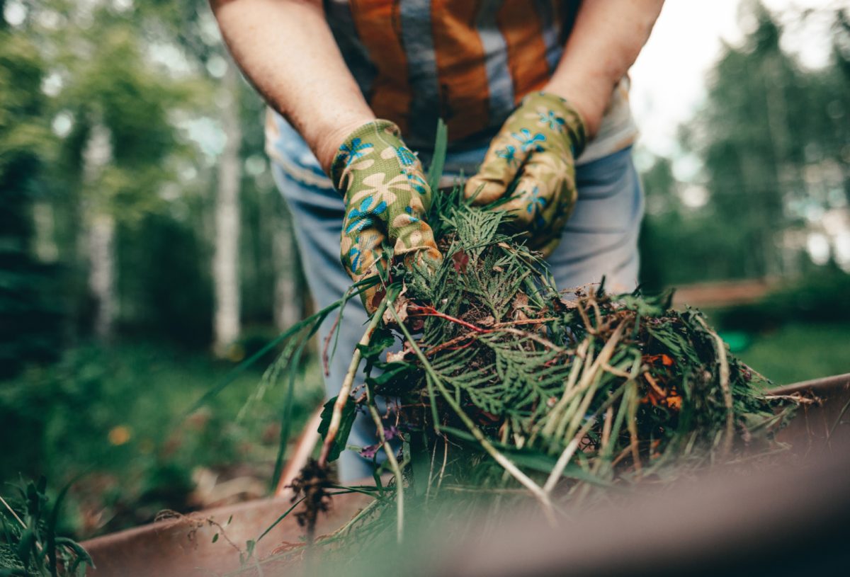person handling garden waste