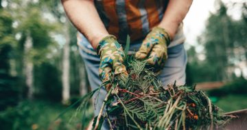 Shellharbour pushes to scrap waste levy on natural disaster clean-ups
