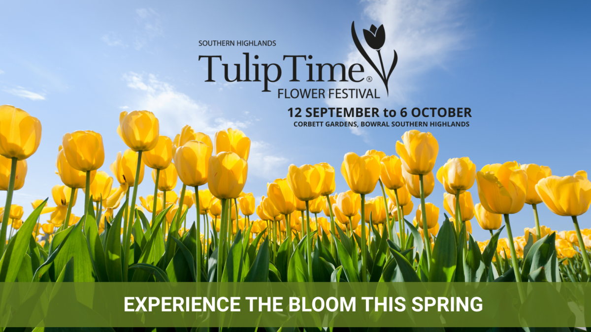 Banner for Tulip Time